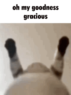 Oh my goodness gif